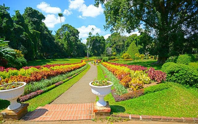 Peradeniya Botanical Gardens