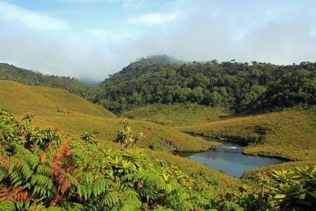 Horton Plains