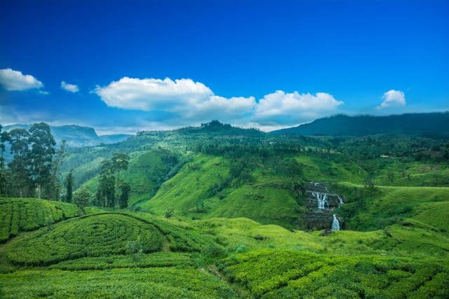Nuwara Eliya