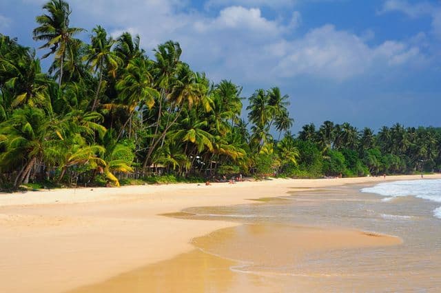 Mirissa Beach