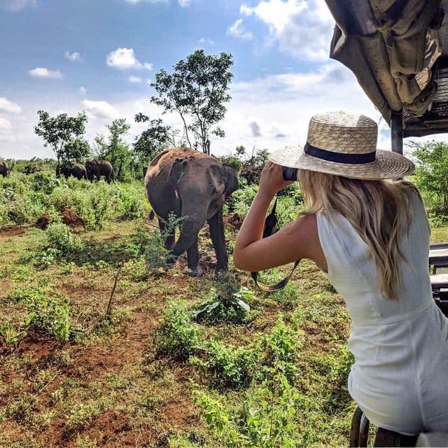 Safari at Yala National Park